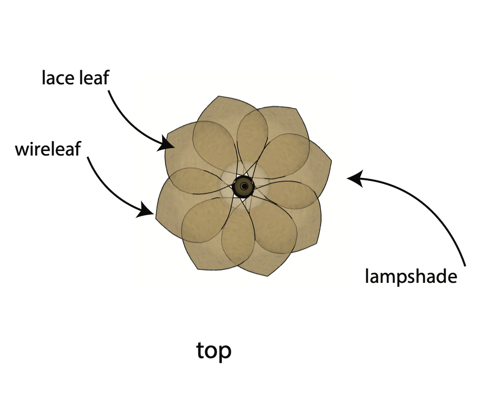 Flower lamp — top label